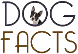 DOG FACTS
